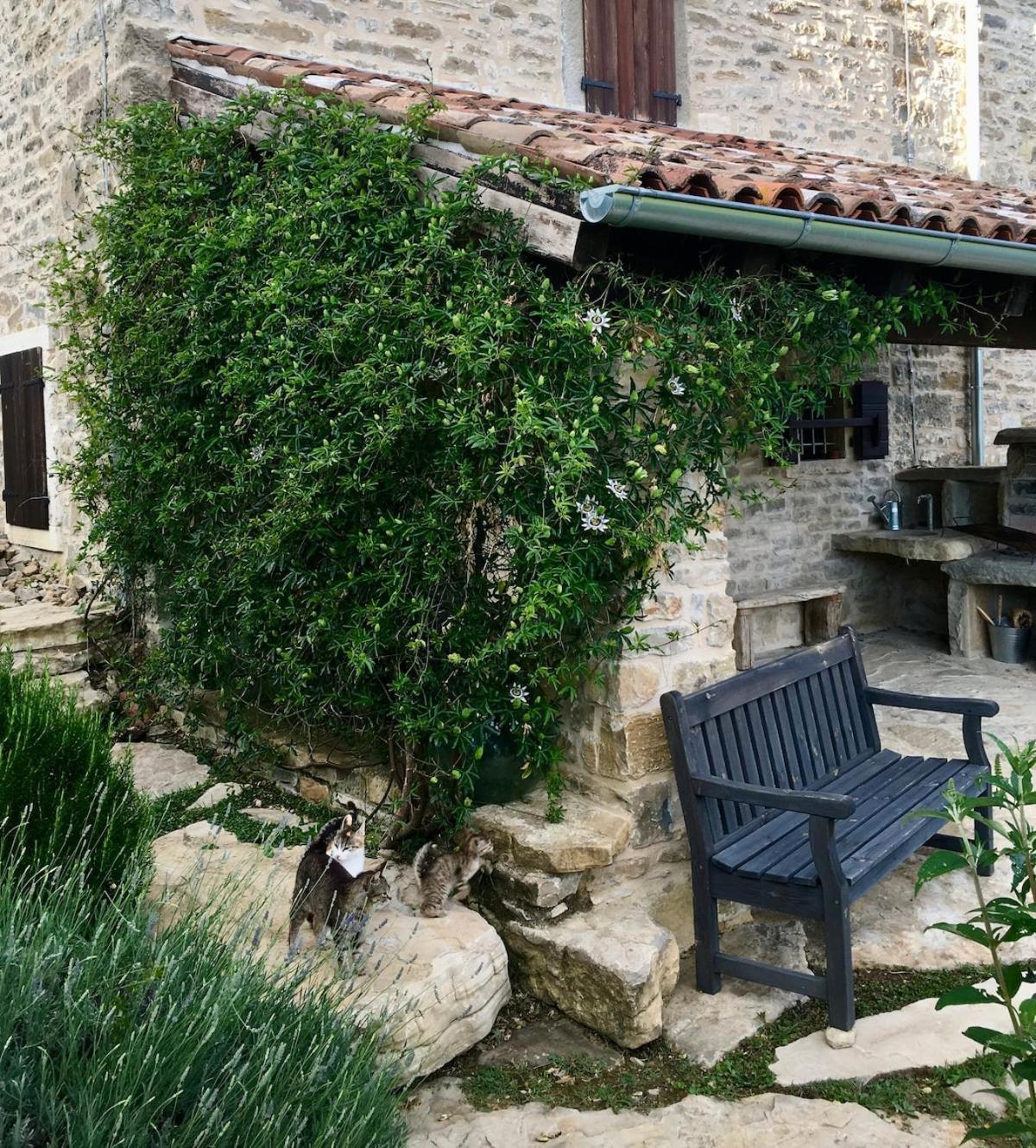 Bolara 60: The Cottage Groznjan Exterior photo